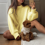 Dili Casual Simple Round Collar Long Sleeve Lined Sweater Women's 2025 Autumn And Winter