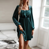 Dili Silk Velvet Square Dress 2025 Autumn And Winter Women's Elegant Short Dress
