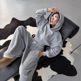Casual Ladies Set Solid Long Sleeve Zipper Hoodie Tight Trousers Two-Piece Set 68HZ